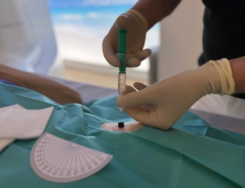 Stammzellen aus dem Ohr: Neue Wege zur Geweberegeneration mit AMT